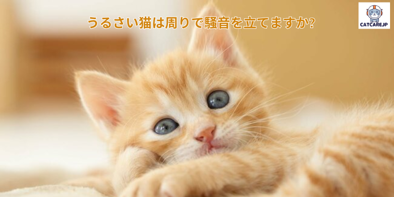 うるさい猫は周りで騒音を立てますか?