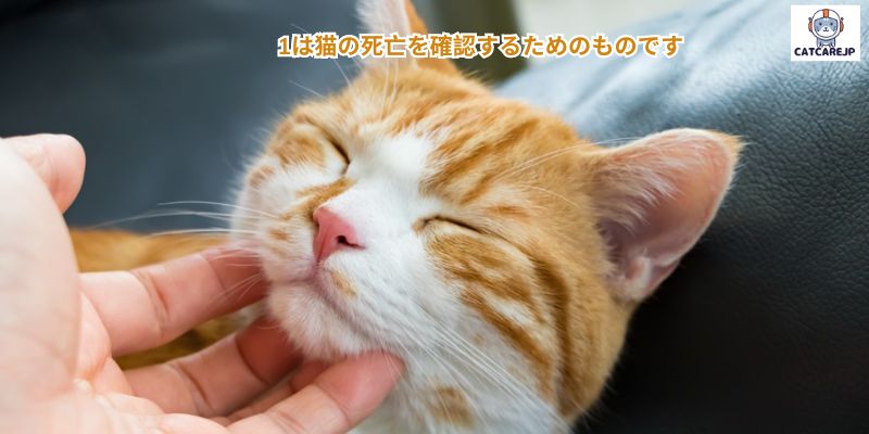  1は猫の死亡を確認するためのものです