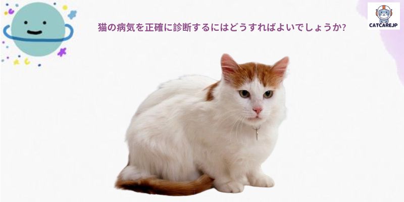 猫の病気を正確に診断するにはどうすればよいでしょうか?