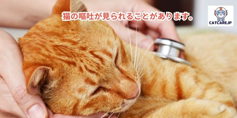 猫の嘔吐が見られることがあります。