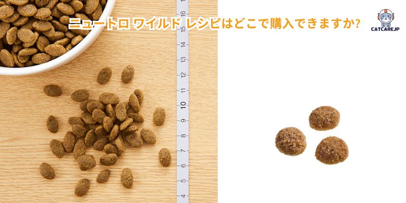 ニュートロ ワイルド レシピはどこで購入できますか?