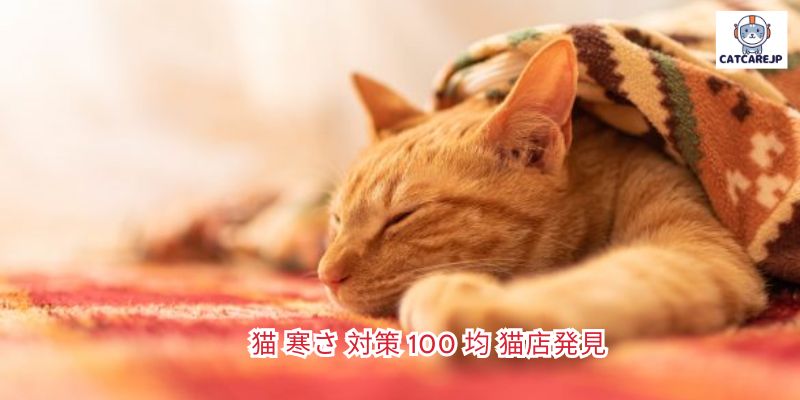 猫 寒さ 対策 100 均 猫店発見