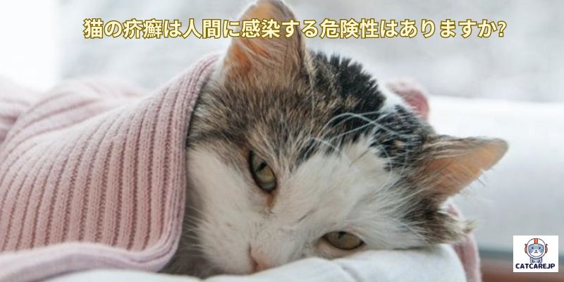 猫の疥癬は人間に感染する危険性はありますか?