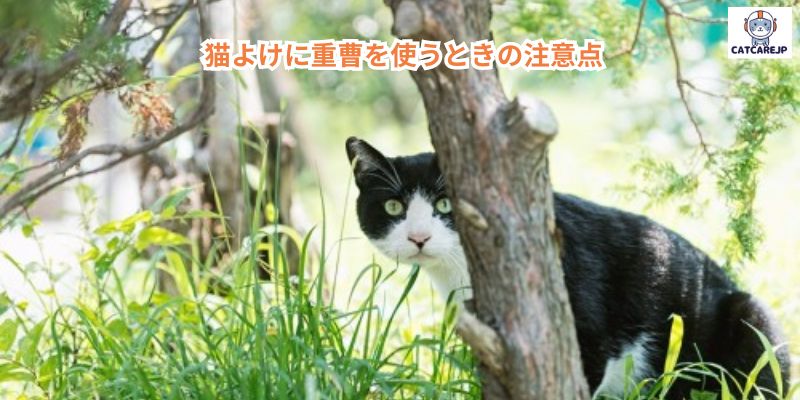  猫よけに重曹を使うときの注意点