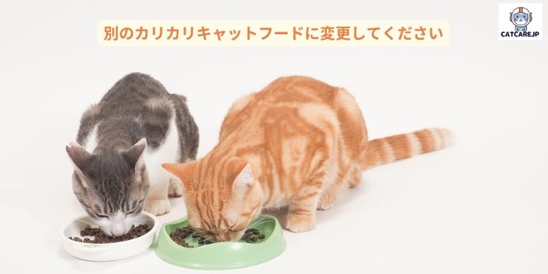 別のカリカリキャットフードに変更してください