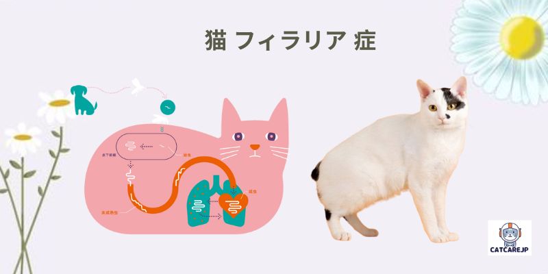 猫 フィラリア