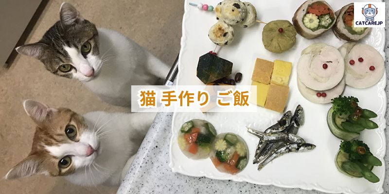 猫 手作り ご飯