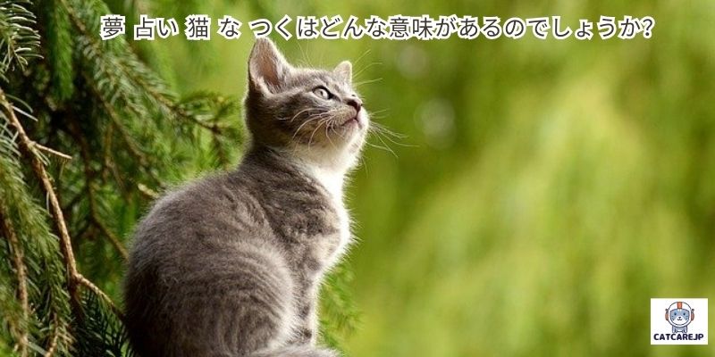 夢 占い 猫 な つくはどんな意味があるのでしょうか？