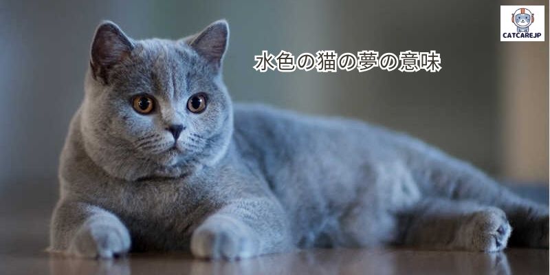 水色の猫の夢の意味