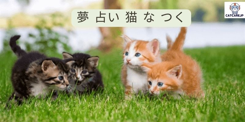 コレット は 死ぬ こと に した ネタバレ