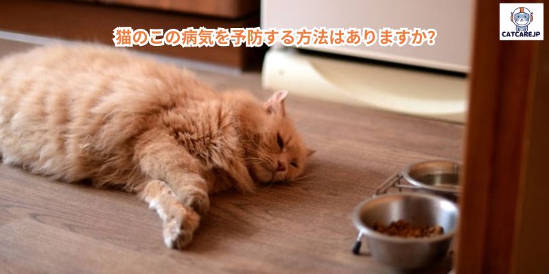 猫のこの病気を予防する方法はありますか？