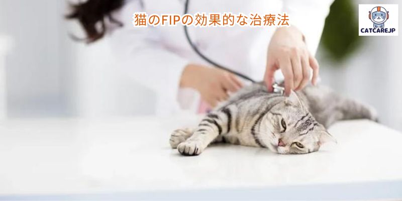 猫のFIPの効果的な治療法