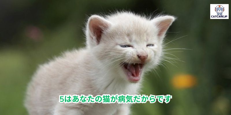 5はあなたの猫が病気だからです