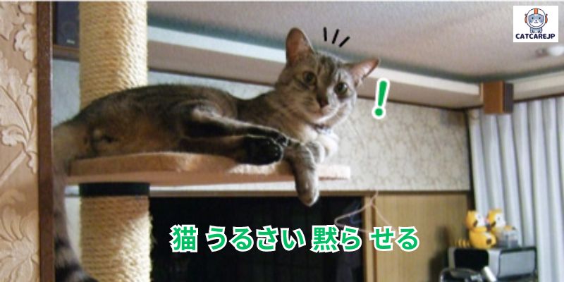 猫 うるさい 黙ら せる