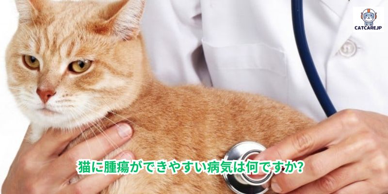 猫に腫瘍ができやすい病気は何ですか？