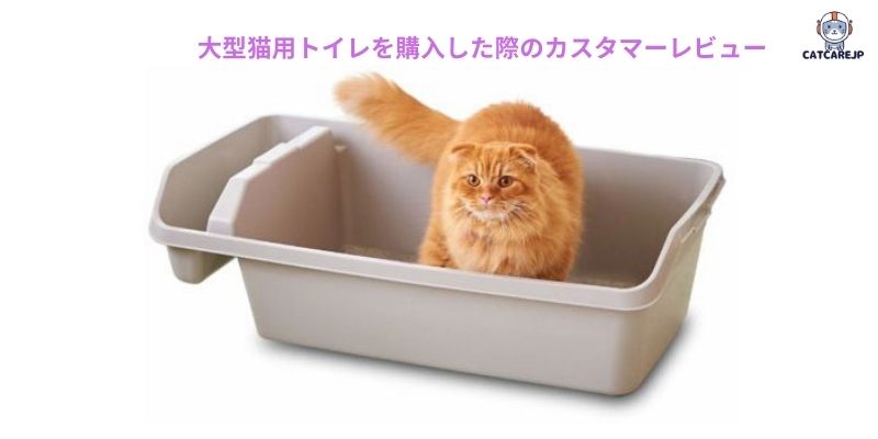 大型猫用トイレを購入した際のカスタマーレビュー