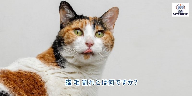 猫 毛 割れとは何ですか？