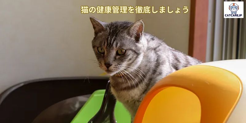 猫の健康管理を徹底しましょう