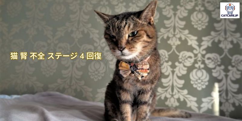 猫 腎 不全 ステージ 4 回復