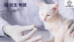 猫 抗生 物質